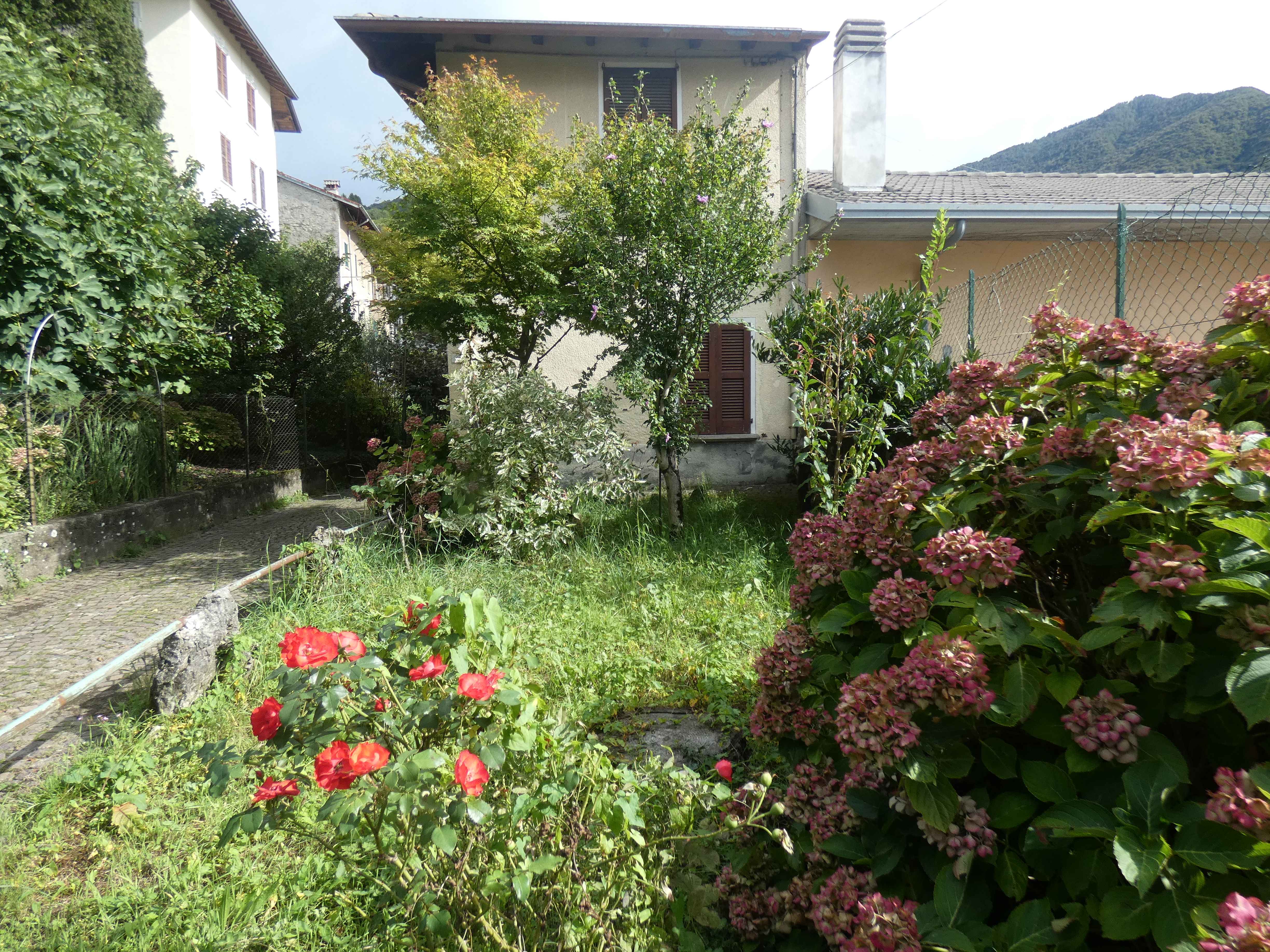 Foto6