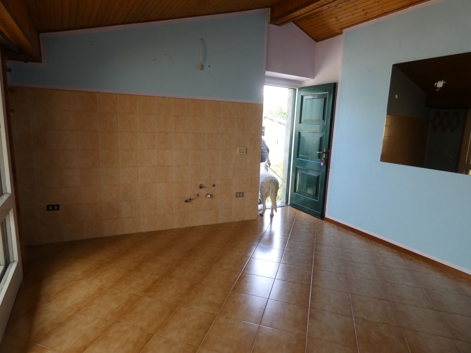 Foto6