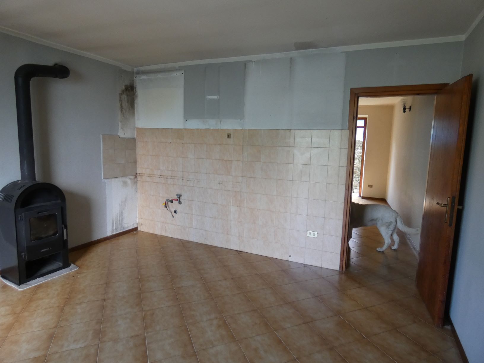 Foto8