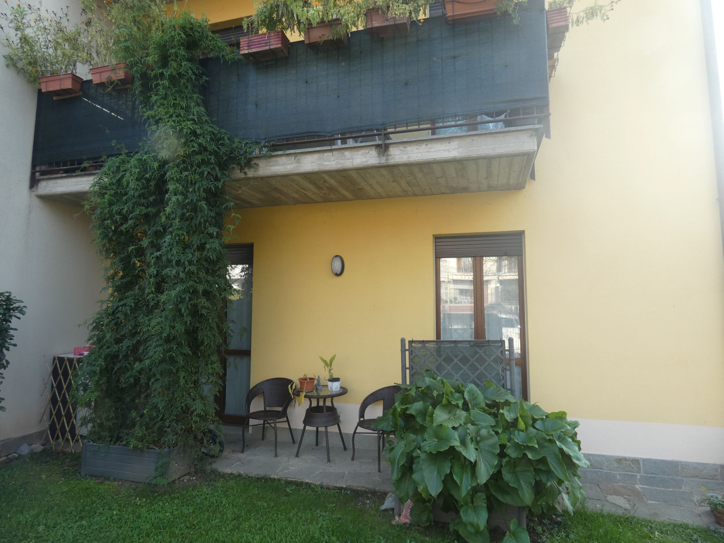 Foto19