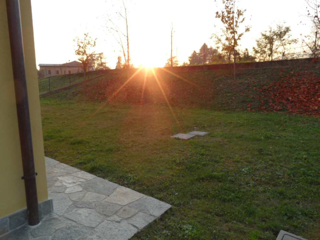 Foto20