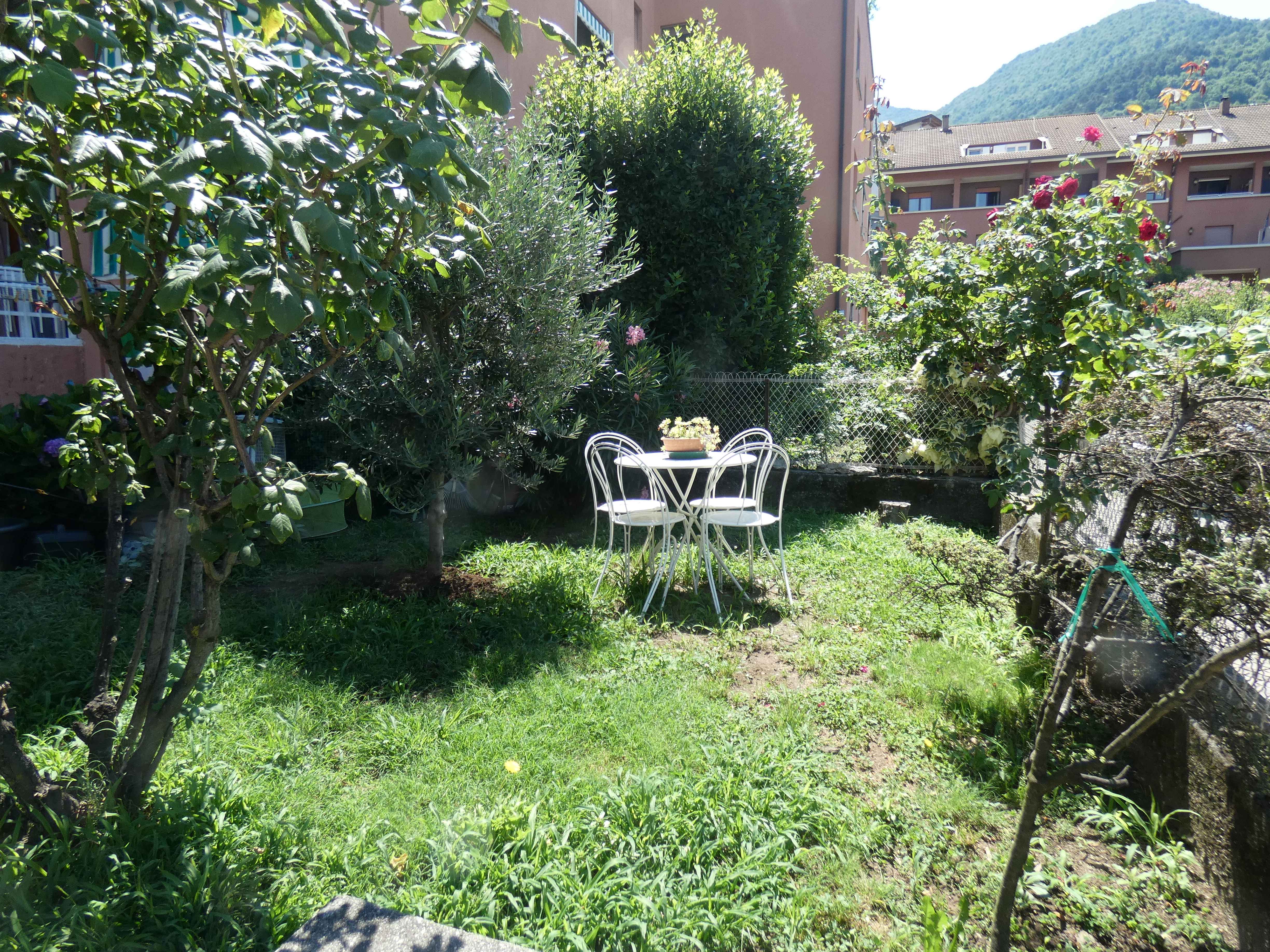 Foto2
