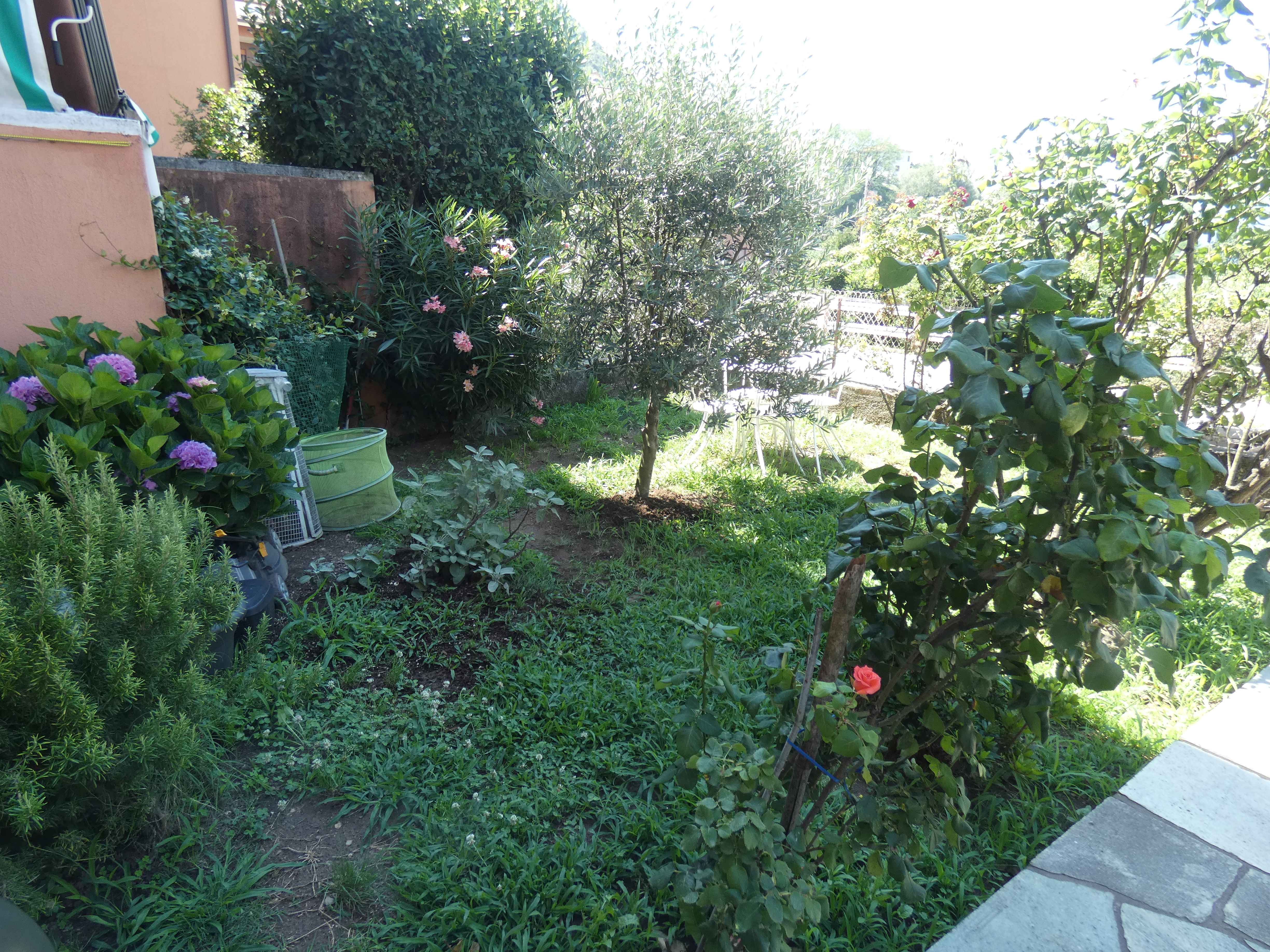 Foto3