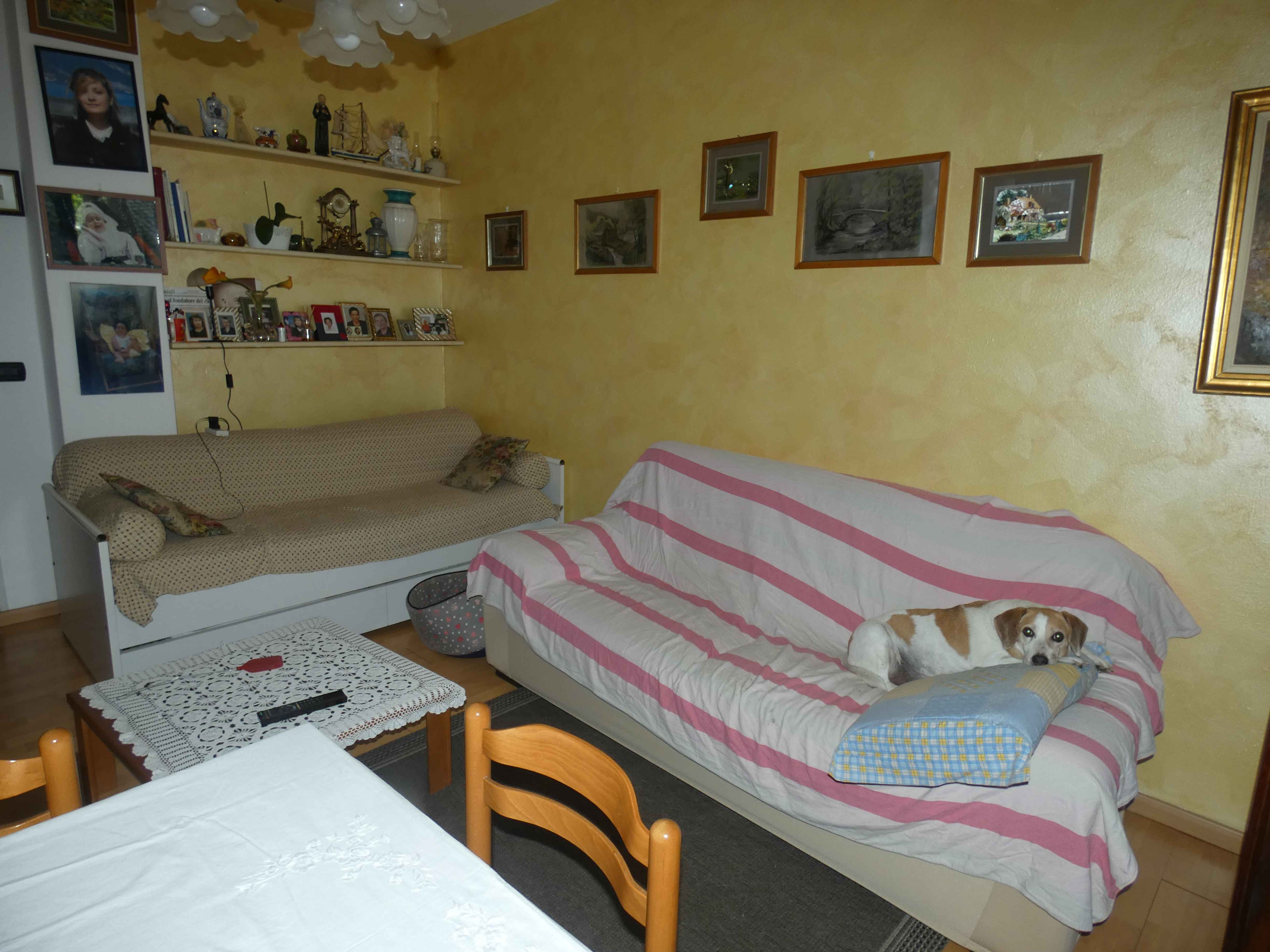 Foto7