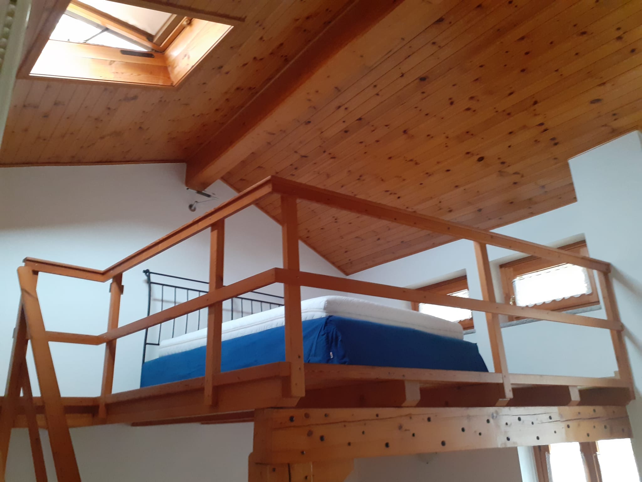 Foto5