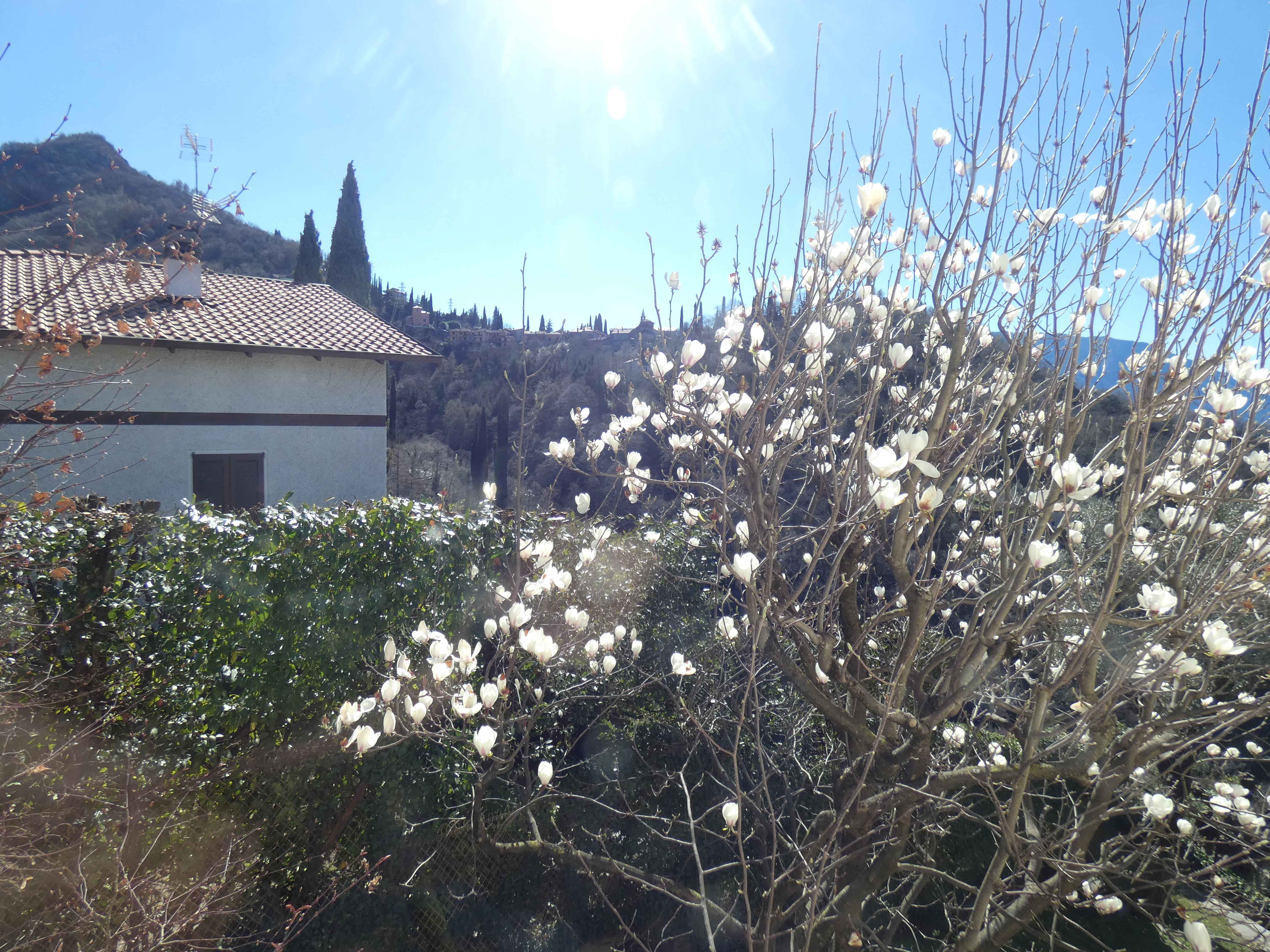 Foto8