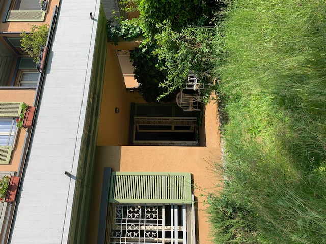 Foto4