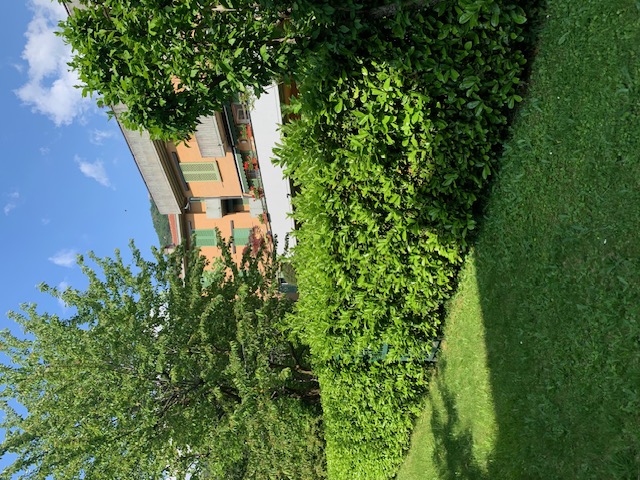 Foto17