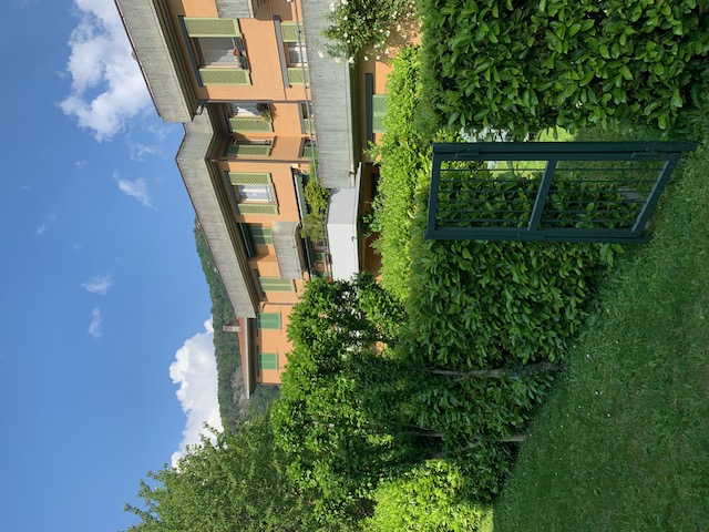 Foto11