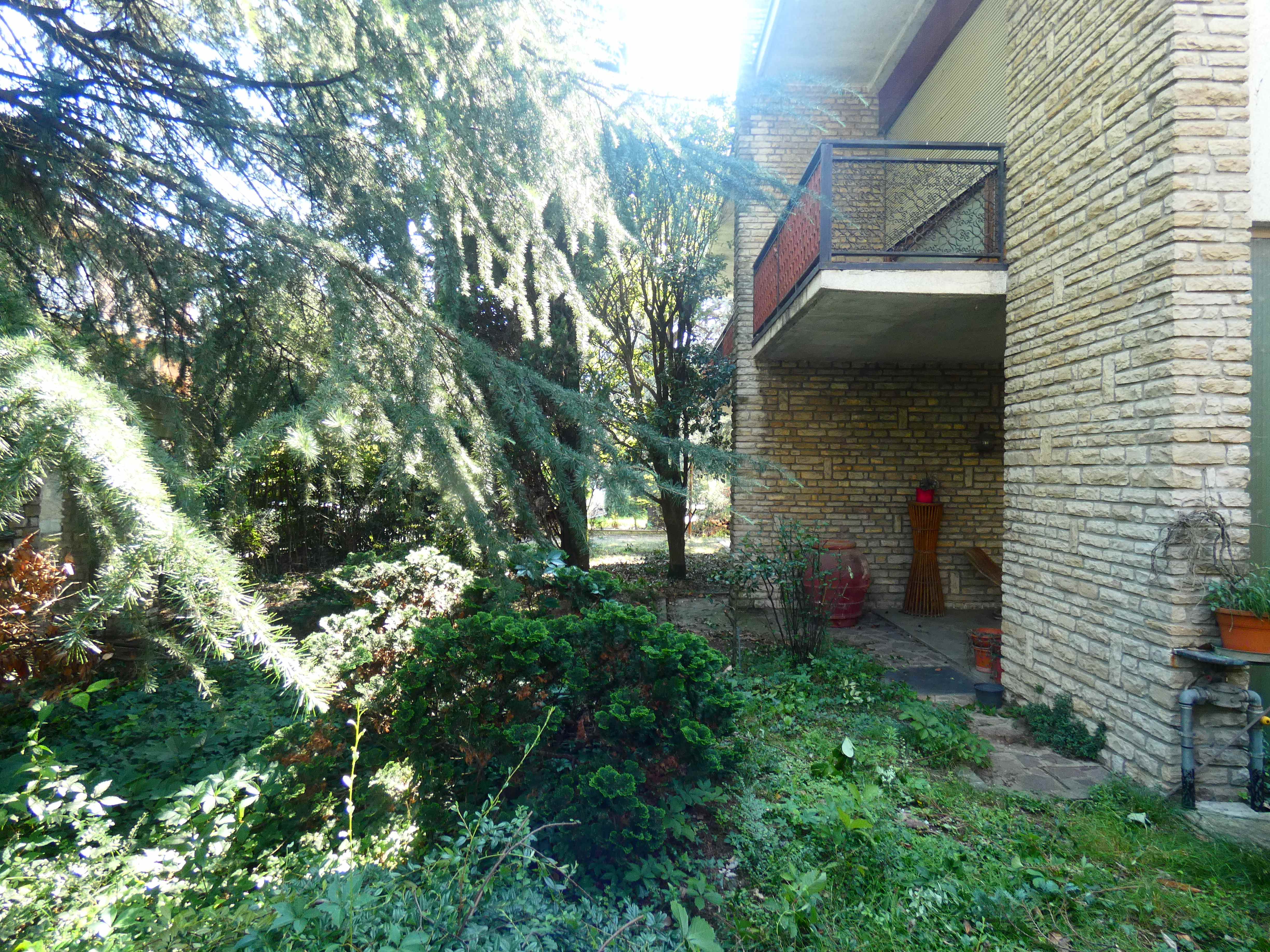 Foto9