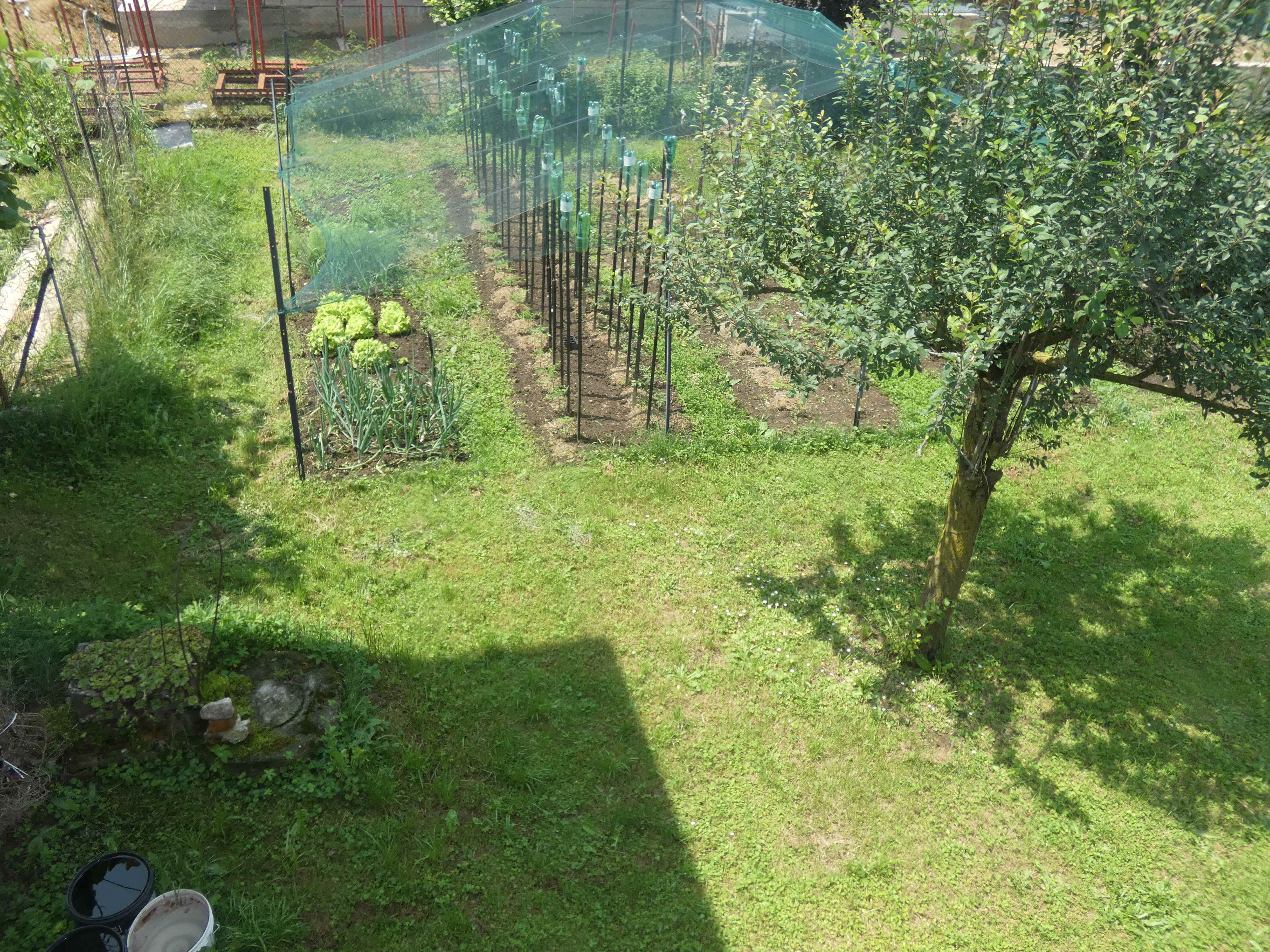 Foto3