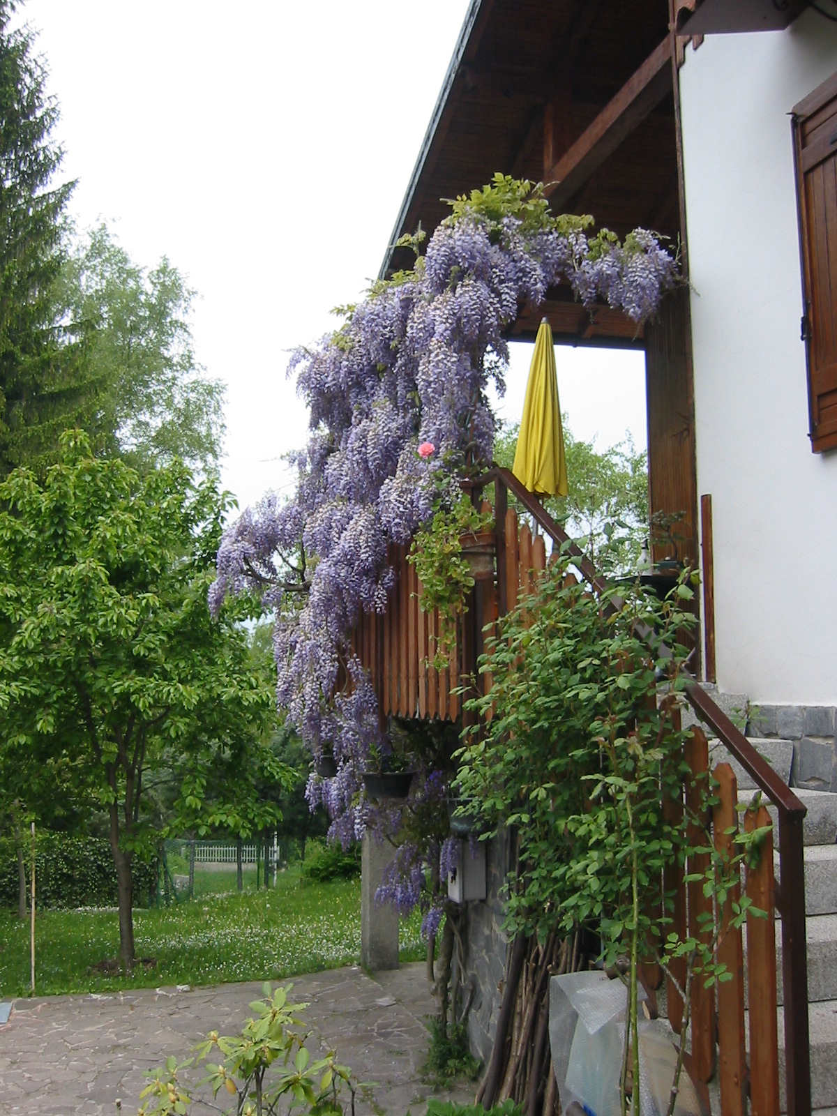 Foto27