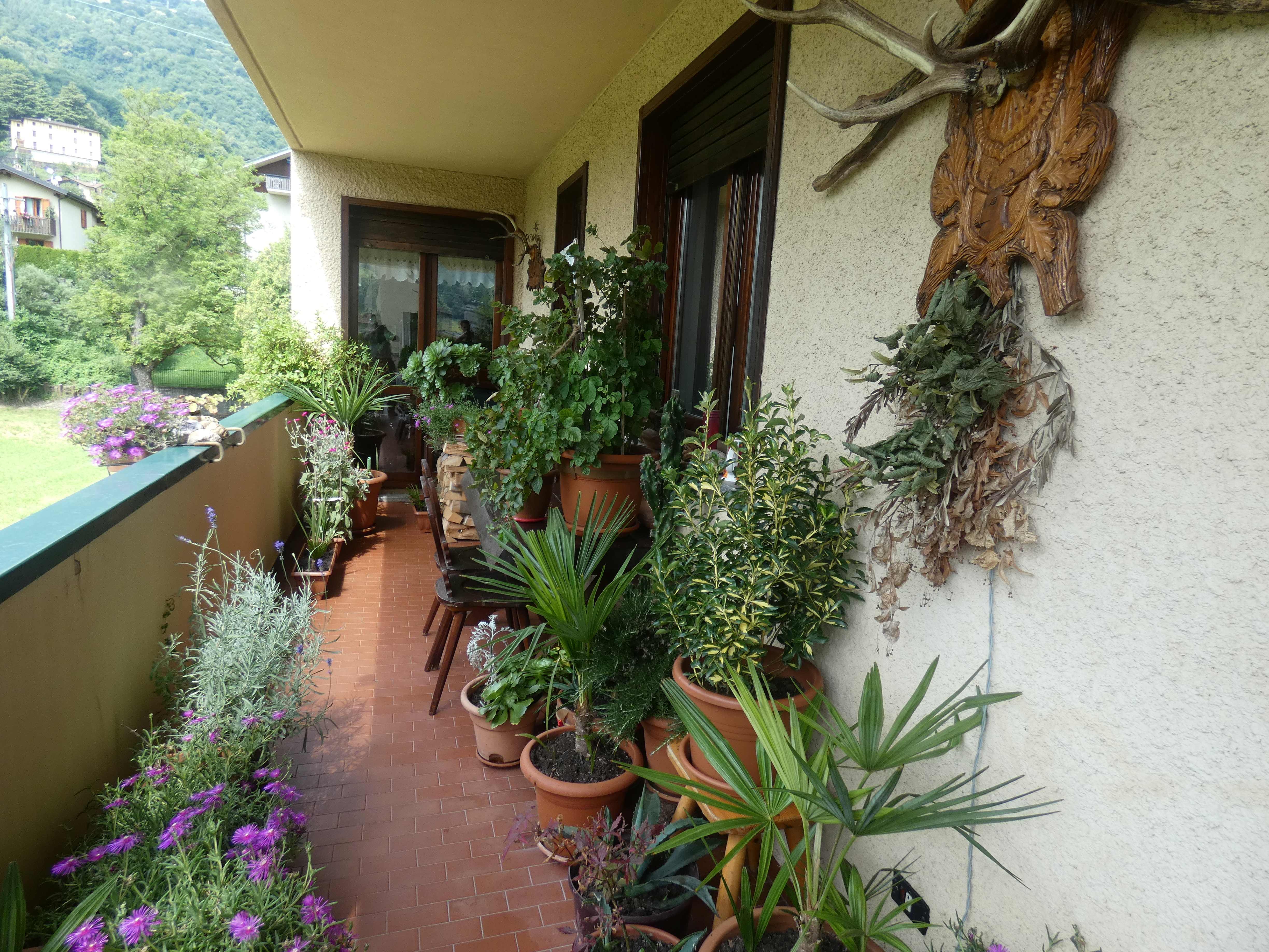 Foto2