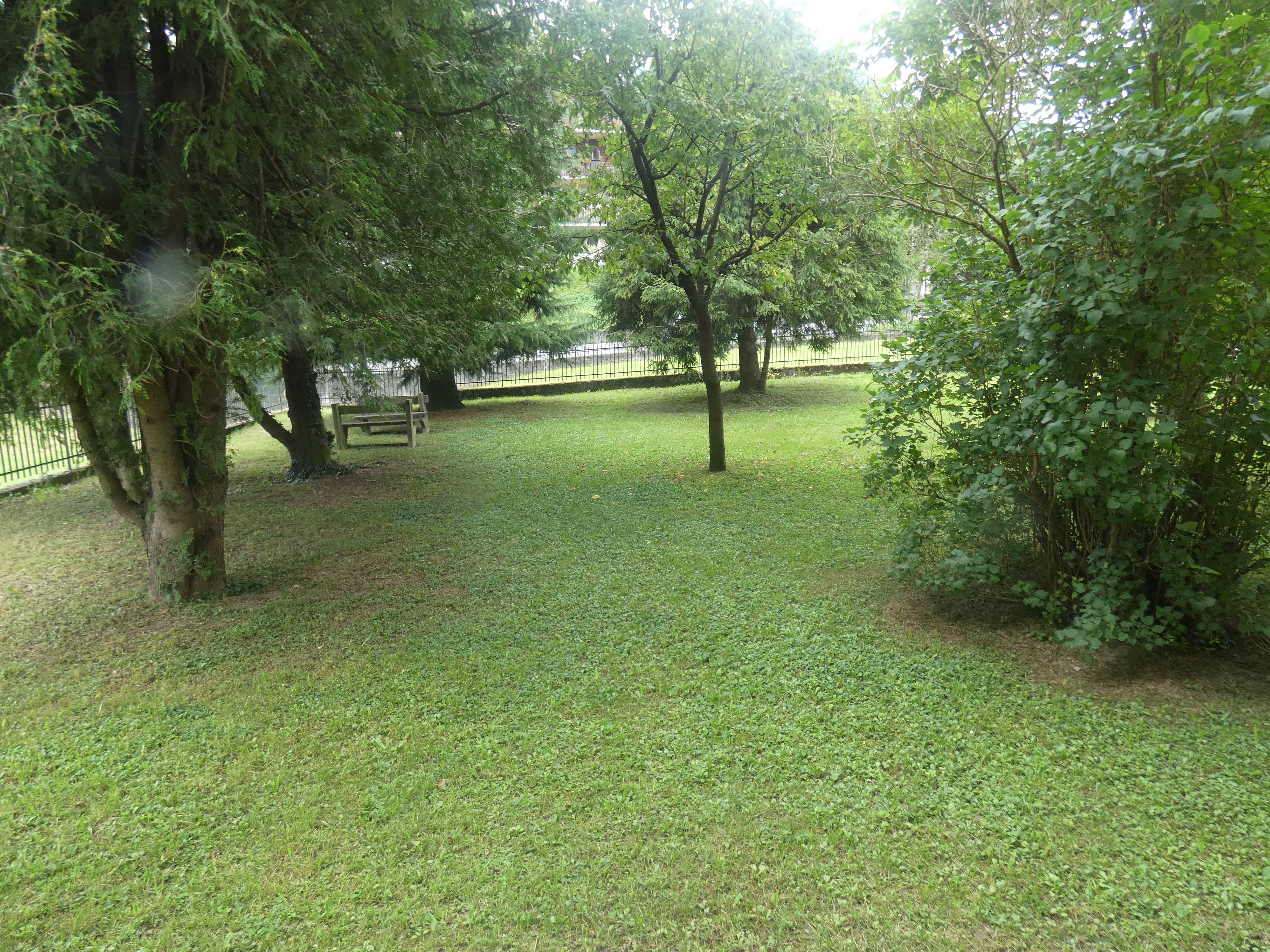Foto19