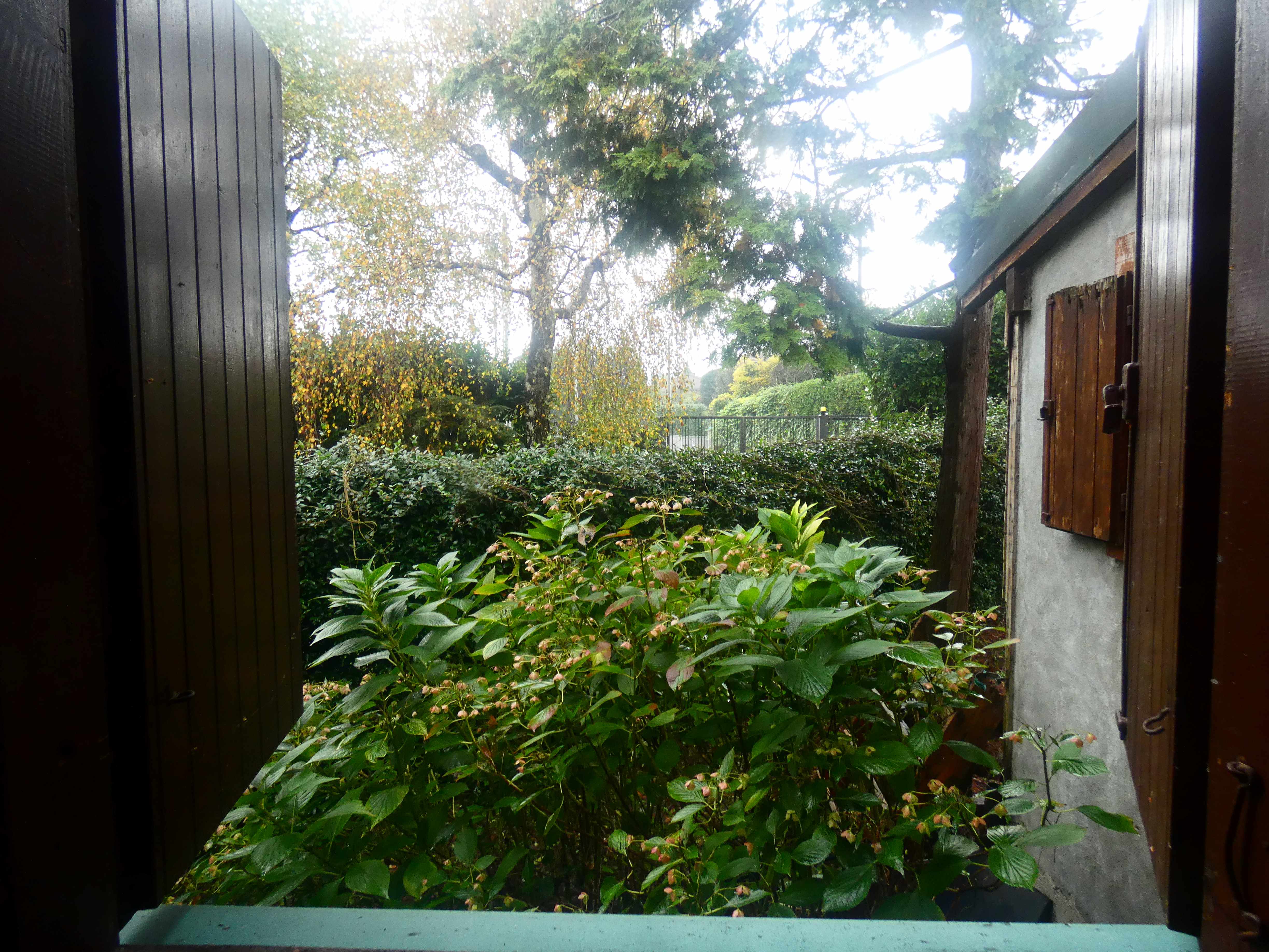 Foto18