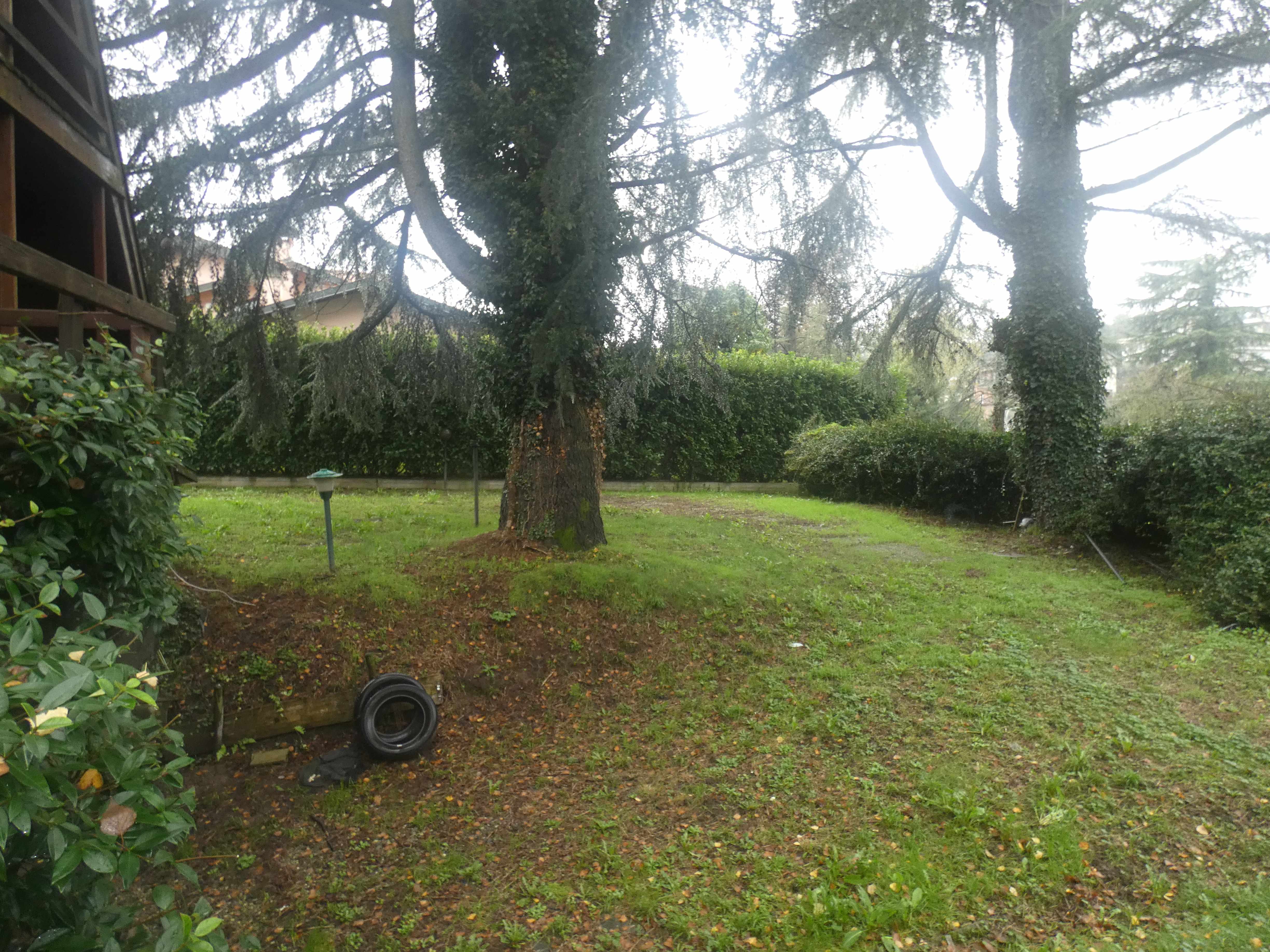 Foto11