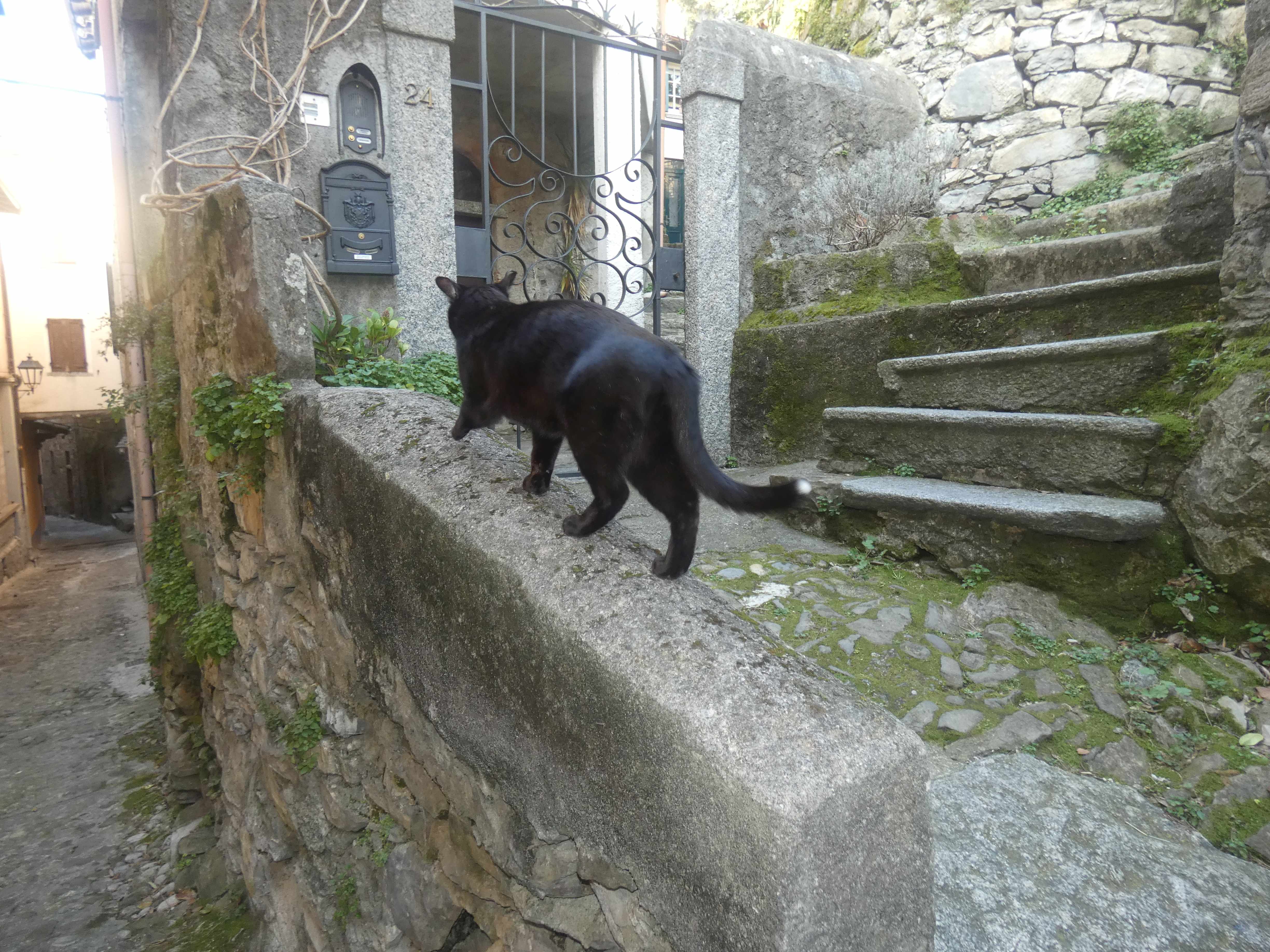 Foto18