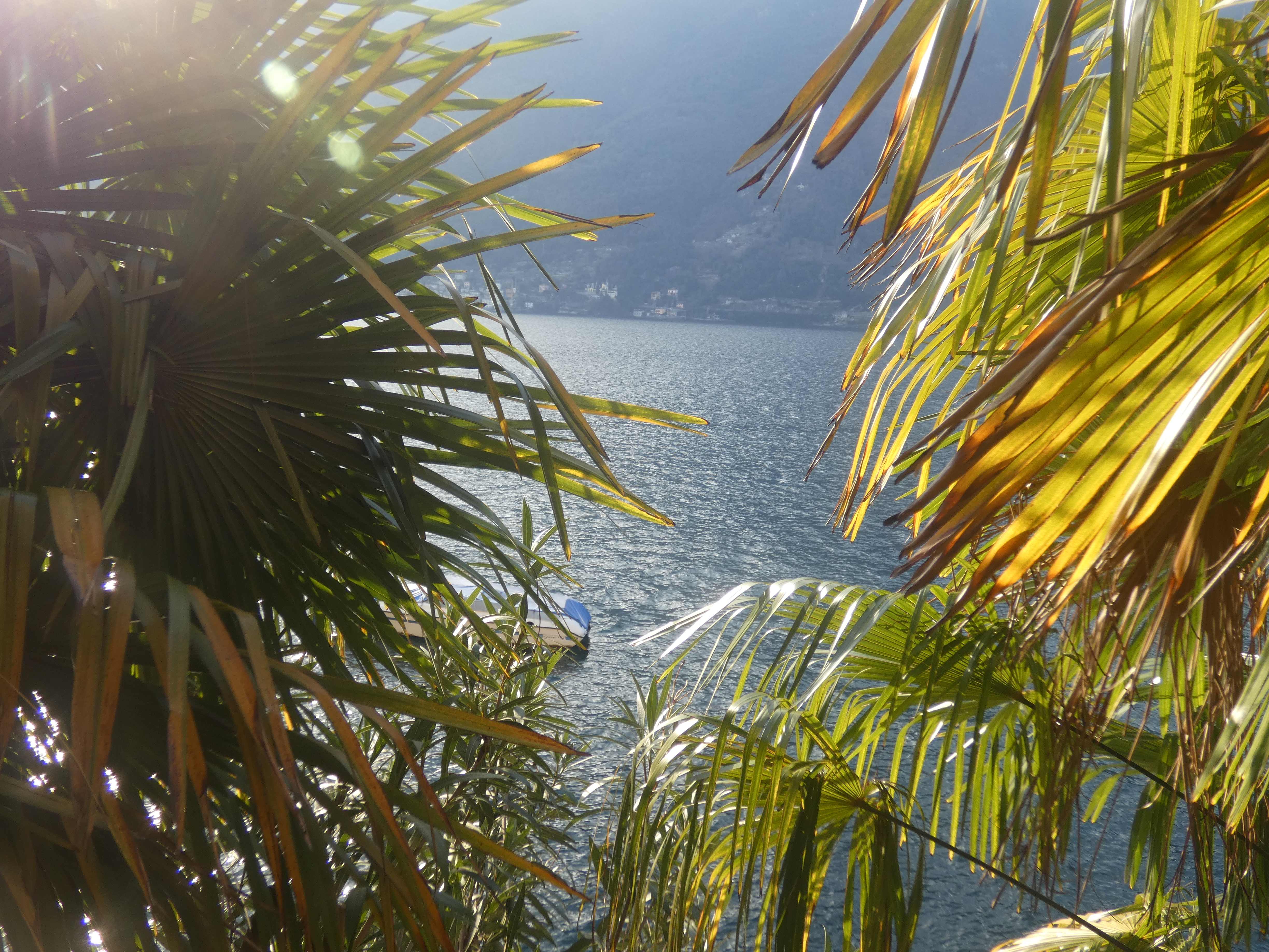 Foto4