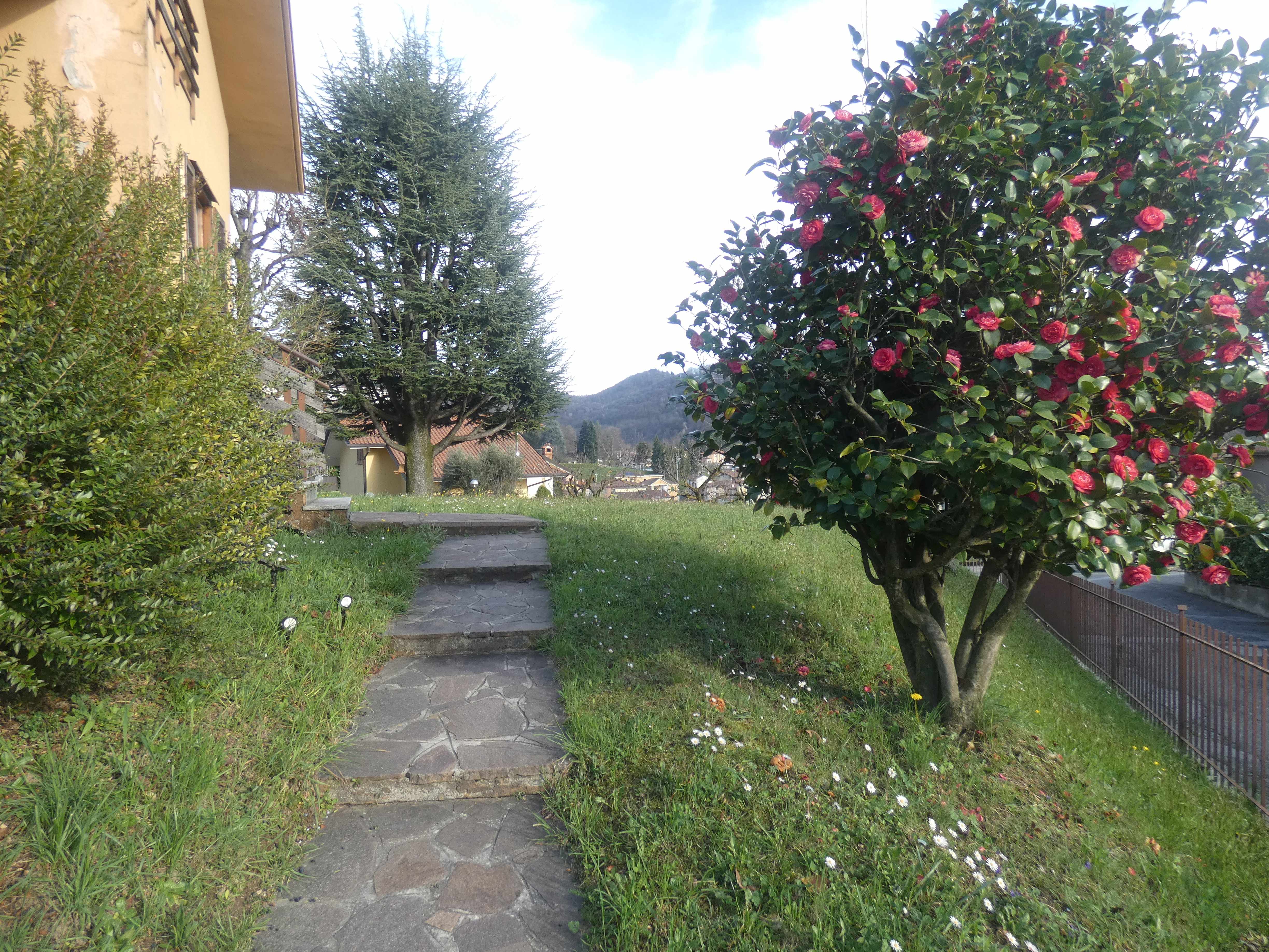 Foto4