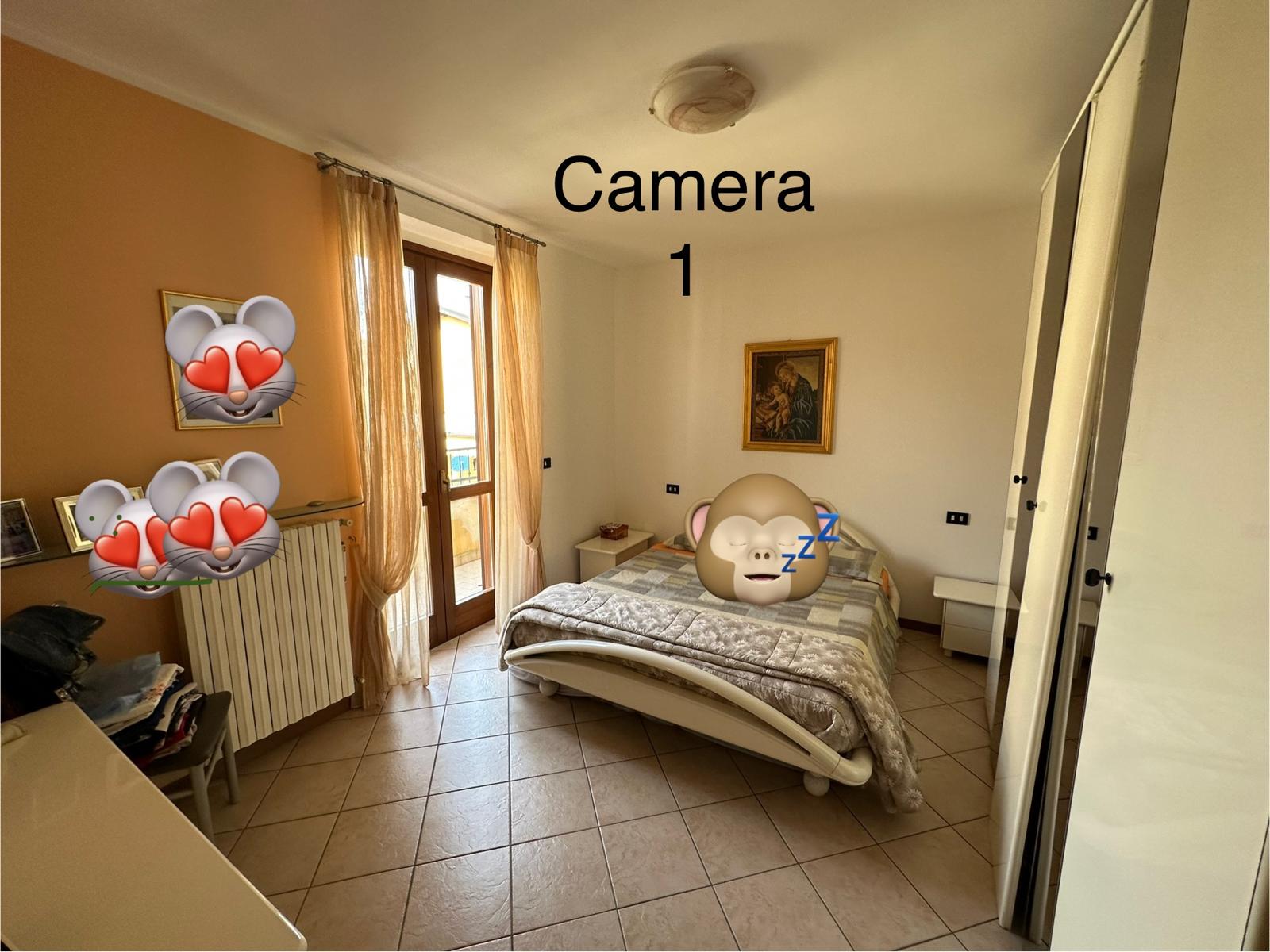 Foto8