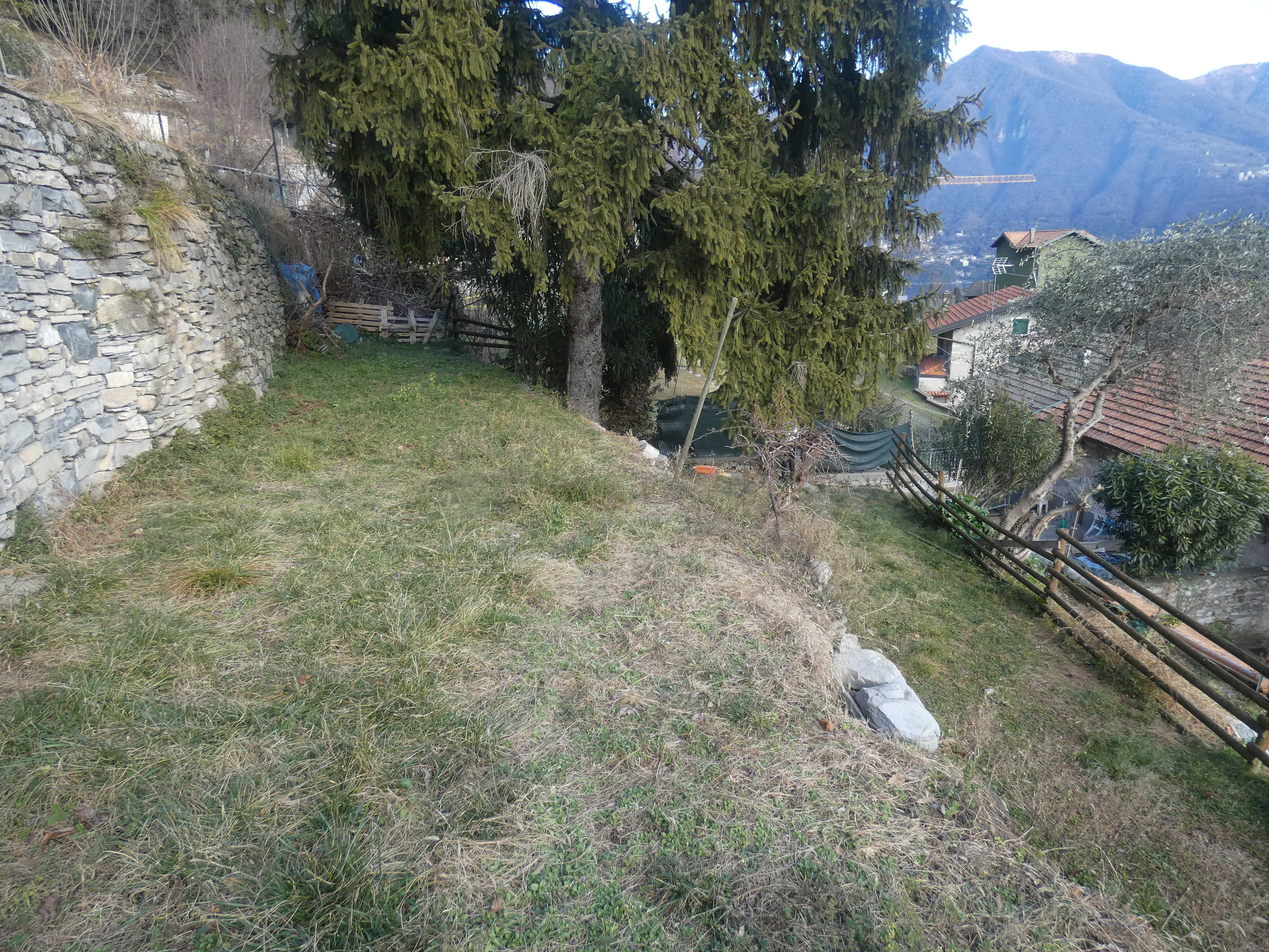 Foto19