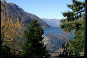 Foto9