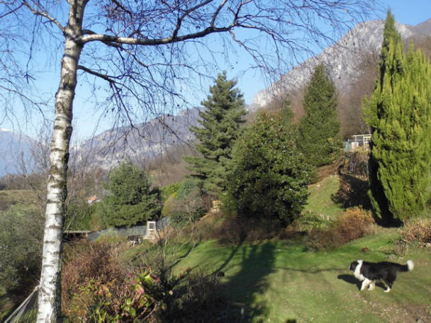 Foto28
