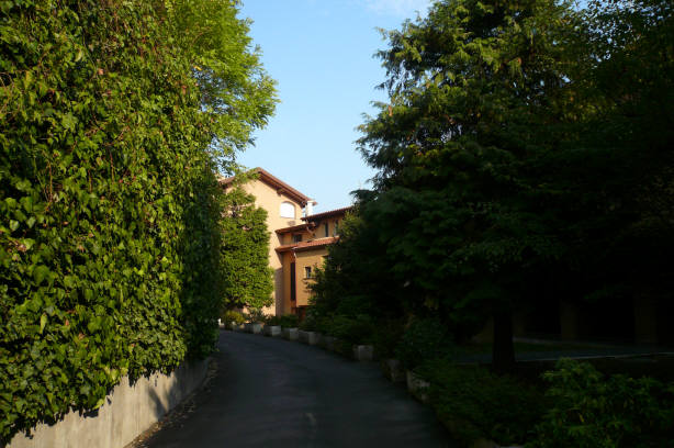 Foto3