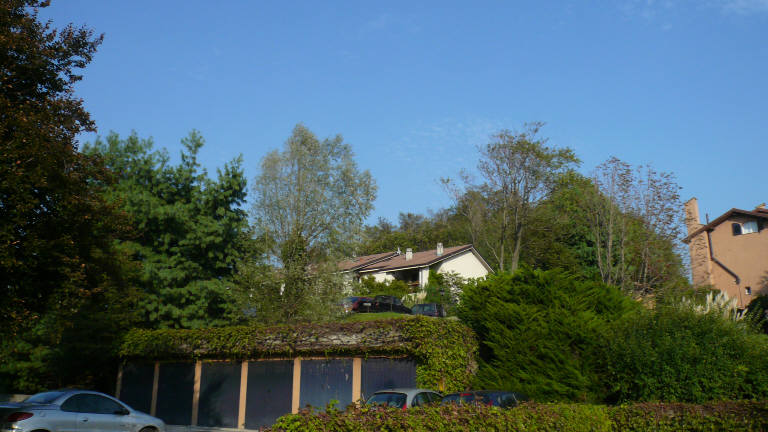 Foto8